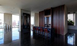 The Ritz-Carlton  (D9), Condominium #389397621